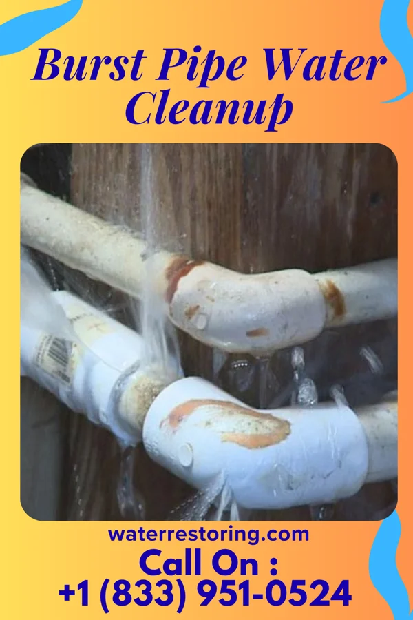 Burst Pipe Water Cleanup in Vilonia, AR