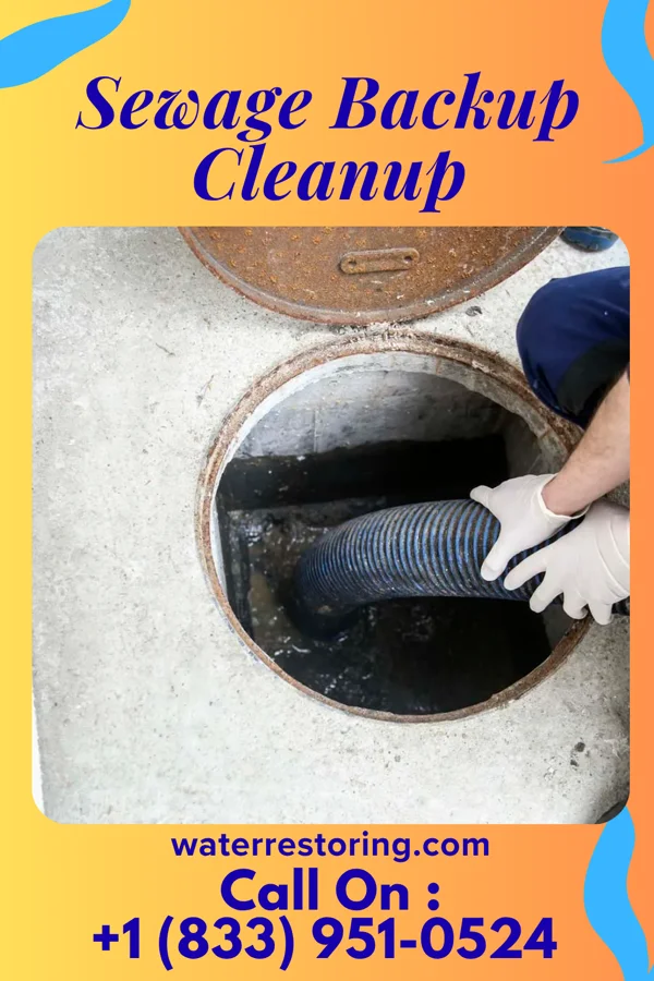 Sewage Backup Cleanup in Vilonia, AR